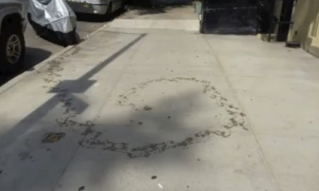 NYC Set to Ban 'Peeing on Sidewalk Law'… Because it's Racist?