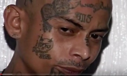 Obama&apos;s gateway to gang life: Alien minors at risk