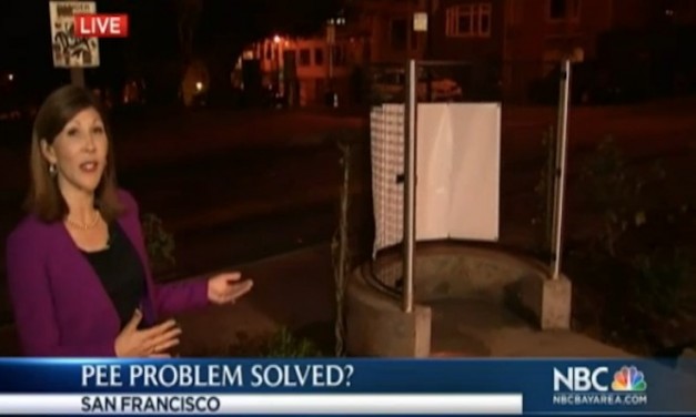 SF park reopened with new outdoor urinal