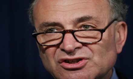 Schumer cites daughter’s fears about her own same-sex marriage in emotional Senate speech