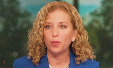 Debbie Wasserman Schultz: If anyone needs investigating, she does