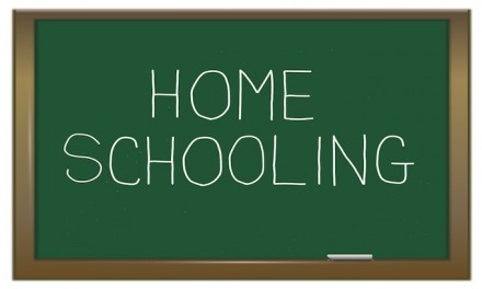 Controlling school shocked homeschooler is thriving