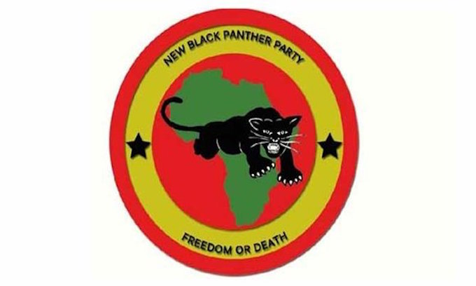 New Black Panther Party forms Baton Rouge chapter