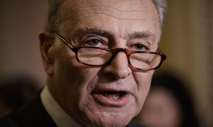 Schumer admits Dems want ‘the whole enchilada’