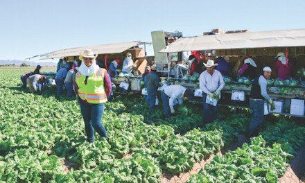 Alien California farmworkers would get path to state residency under new proposal