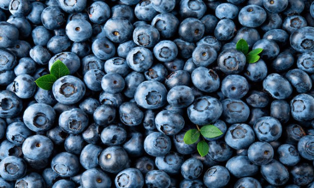 City: You Can’t Sell Blueberries Unless You Affirm Gay Marriage
