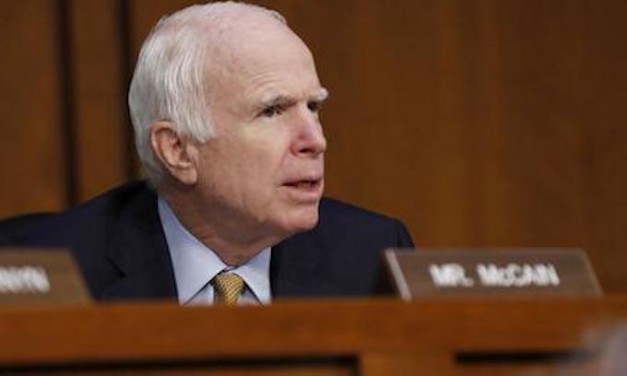 McCain, cronies at IRS targeted Tea Party groups while McCain pledged to ‘work together’