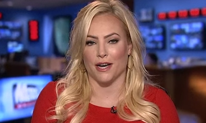 Meghan McCain unleashes on Dinesh D’Souza for comments on dad