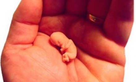 Democrats don’t cry for U.S. citizens — or aborted babies