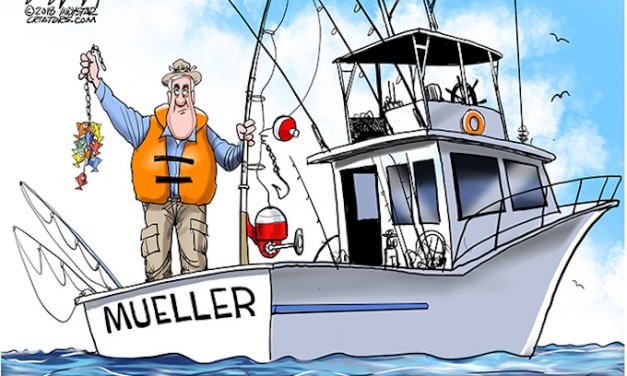 Small Fish Indictments