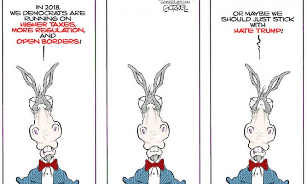Jackasses!