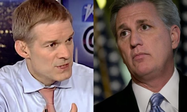 Survey: Jordan, Scalise Garner Top Spots to Replace Paul Ryan as House Speaker
