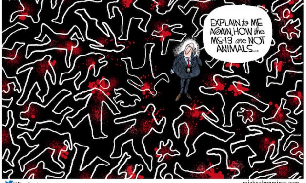 Liberal Candidate