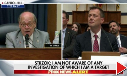 The Democrat who wants to give Peter Strzok a purple heart