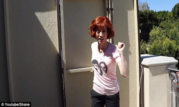 Kathy Griffin built a wall to shield her $10M mansion from her Trump supporting neighbor