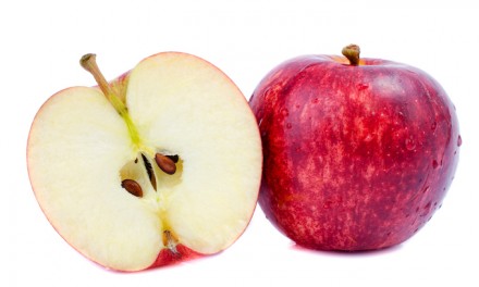 Clemson University workshop: ‘What gender is this apple?’