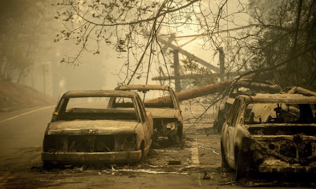California’s fire management policies are ‘blithering idiocy’