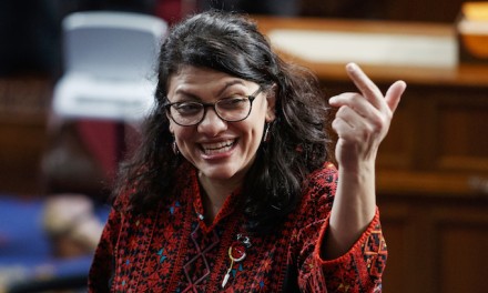 Tlaib: Israel is a racist state