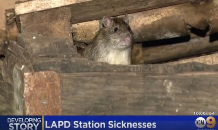 Democrat rule has brought trash heaps, rats, typhus and more to California cities