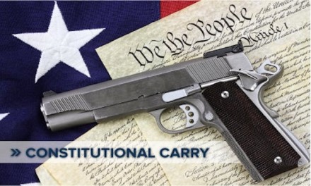 Lee says permitless gun carry is component of ‘public safety agenda’