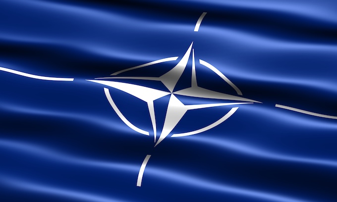 Is NATO, 70, Brain Dead?
