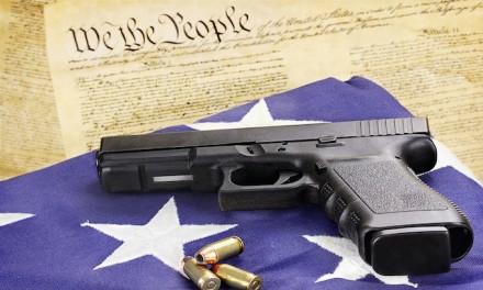 2nd Amendment Sanctuary Act