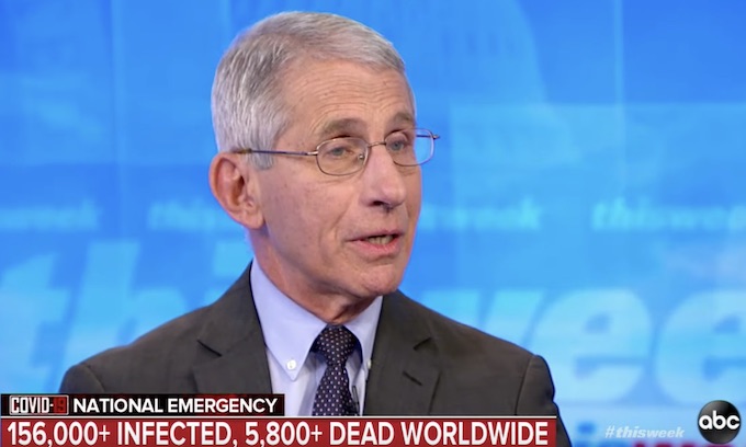 Anthony Fauci urges coronavirus ‘national shutdown’