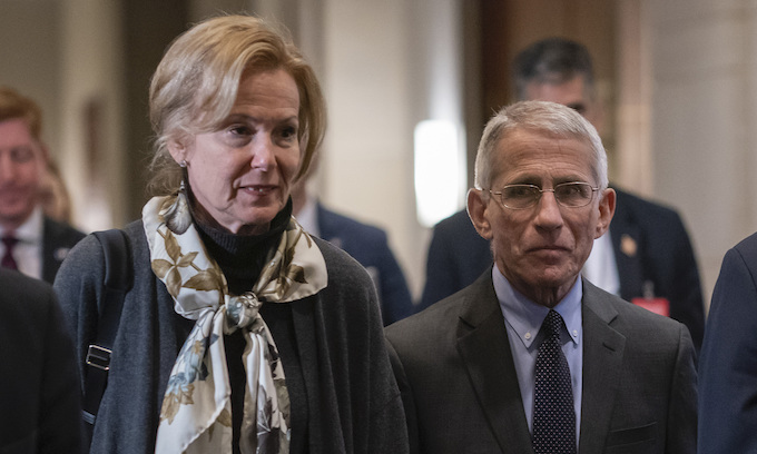 Fauci will testify in Senate; House irked he will not appear there
