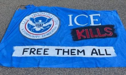 Criminals deface ICE flag, demand release of illegals