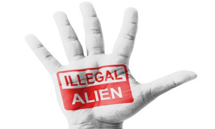 Is it a contest? Which state is doing more for illegal aliens?