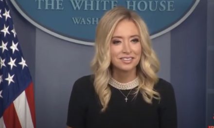 Reporters Ask Kayleigh McEnany About The National Stockpile, Her Responses Were Epic