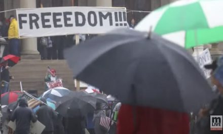 Peaceful protesters converged on Michigan Capitol against Gov. Whitmer’s stay home order