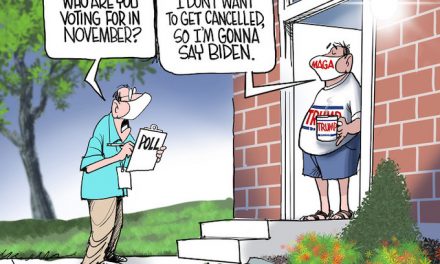 Part of the Silent Majority