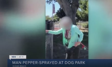Crazed woman maces San Diego couple for not wearing masks at the dog park