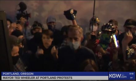 Portland officially bans police from working with federal law enforcement