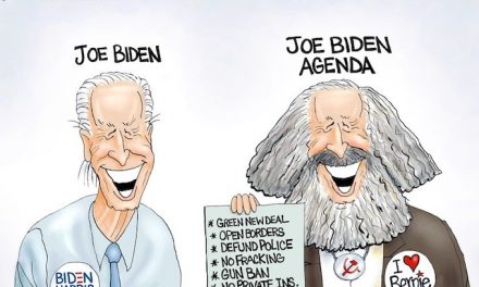 The New Biden