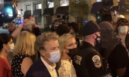 Senator attacked by Black Lives Matter mob outside White House