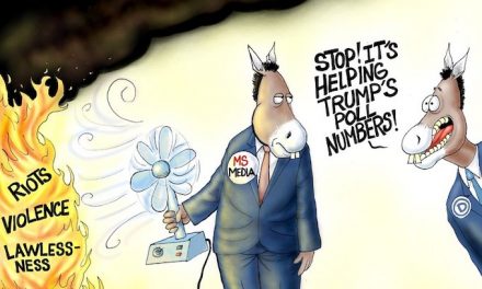 Media role in Democrat election