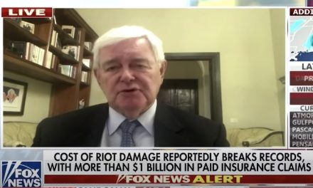 Conservative Newt Gingrich gets outnumbered on Fox News when he mentions George Soros