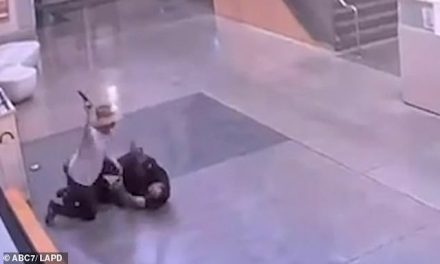 Video shows attack on LA officer inside police station