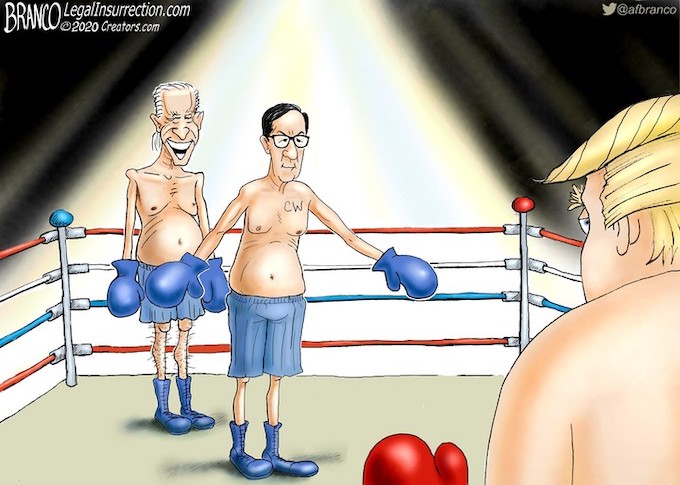 The ‘umpire’