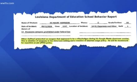 School District suspends student for BB gun in Zoom class, parents sue