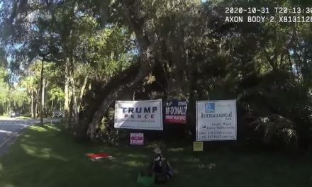 Anarchist Florida woman arrested for destroying Trump campaign signs
