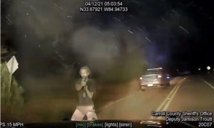 Video shows attack on Georgia deputies