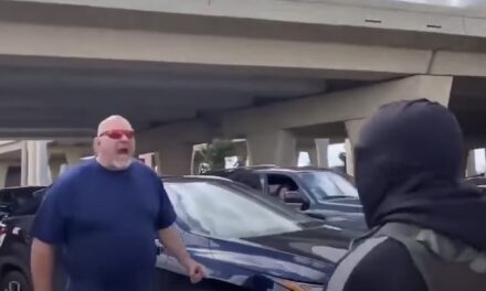 ENOUGH! Plano Motorist Erupts Over BLM Mob Stopping Traffic