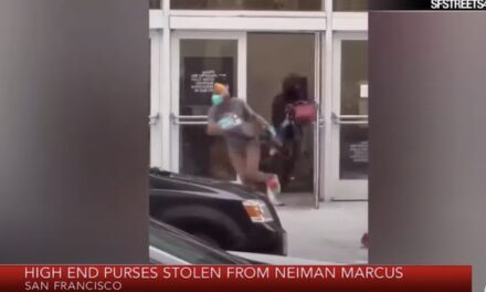 ‘Crime is basically legal in San Francisco’: Furious shopper posts video of horde of shoplifters fleeing Neiman Marcus
