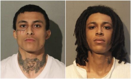 Brothers charged in slaying of Chicago police Officer