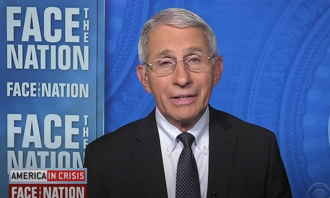 Fauci predicts ‘more pain and suffering ahead’; blames the unvaccinated