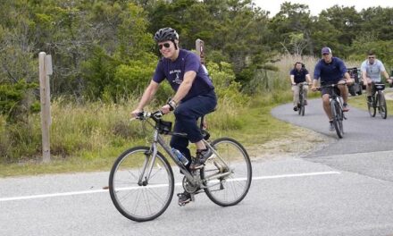 Democrats Are Stuck With Joe Biden as Their Presidential Nominee