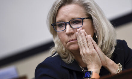Wyoming GOP votes Liz Cheney out of state party